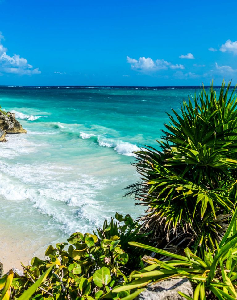 Huge Panorama of Tulum caribbean paradise and Mayan Ruins. Trave
