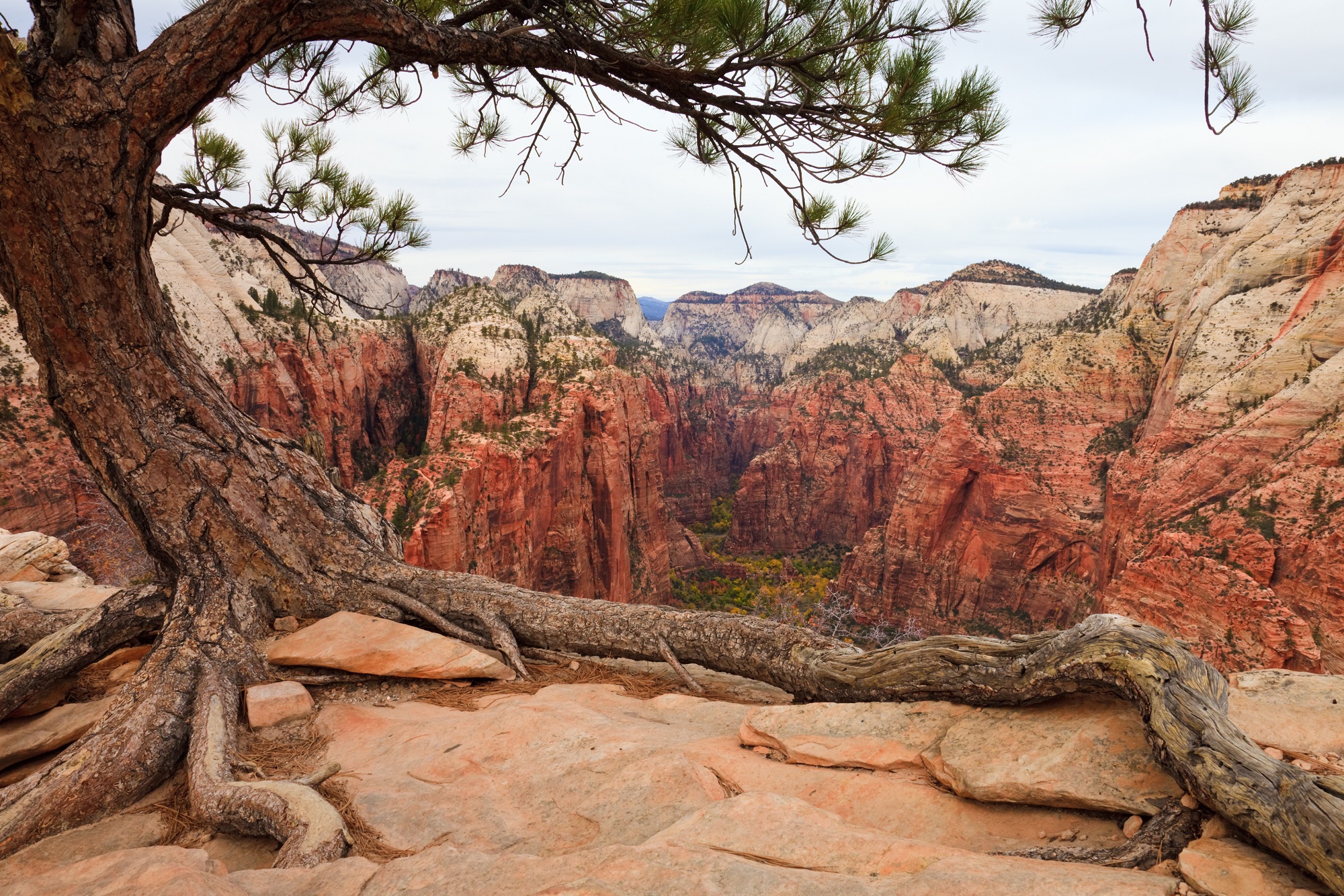 Angels Landing | Holidayguru.nl