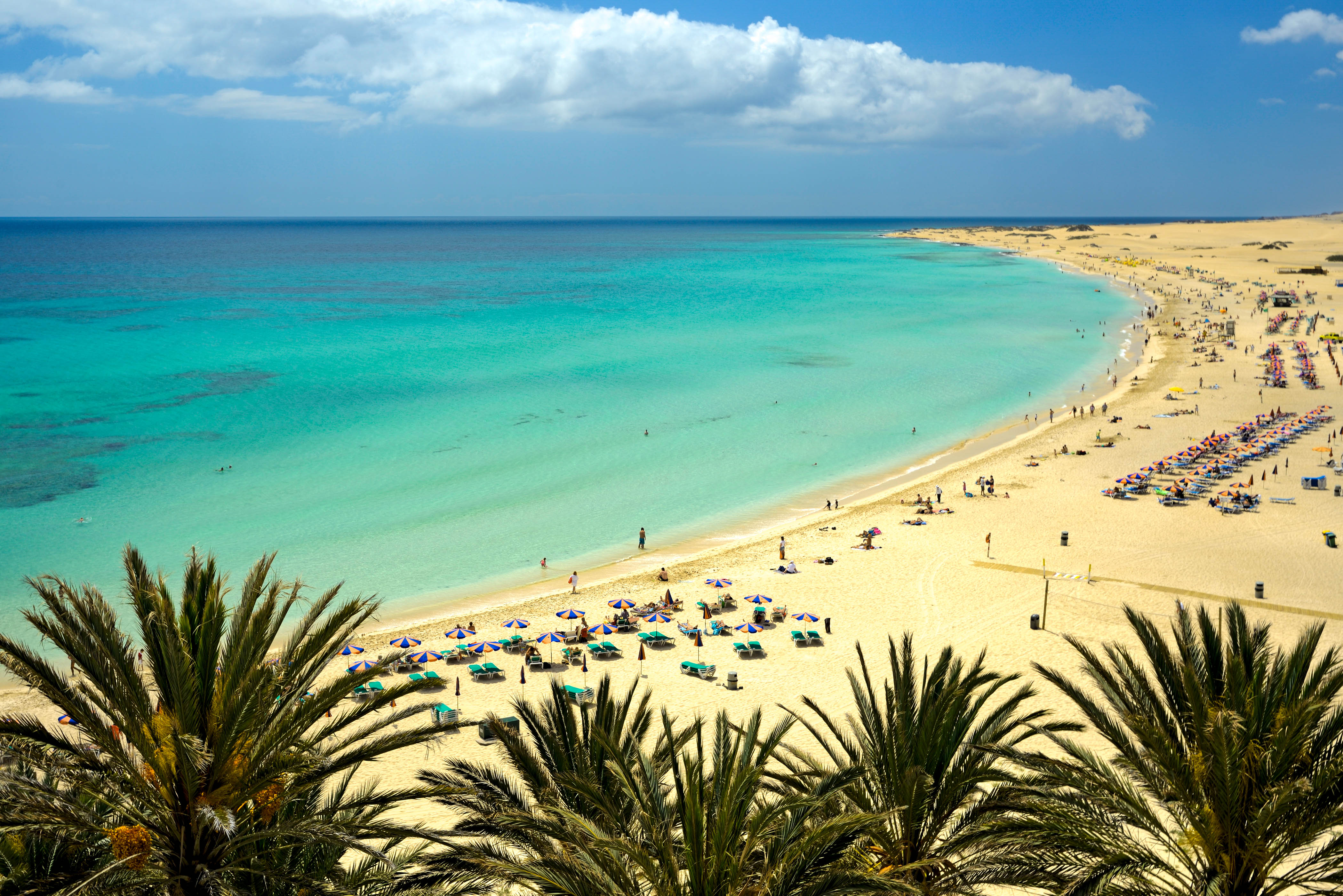 Fuerteventura Playa Fuerteventura Playa