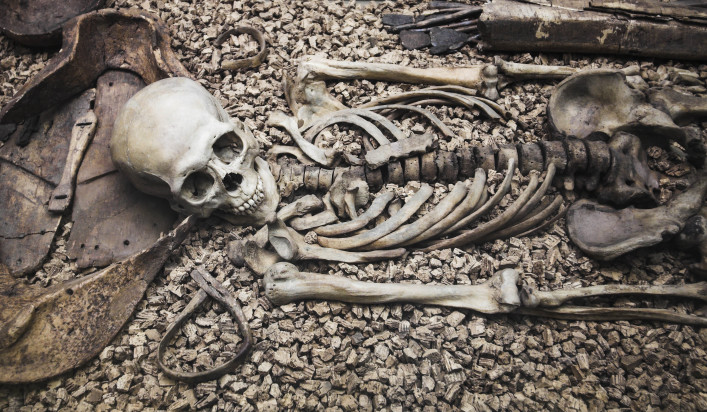 De botten van een skelet