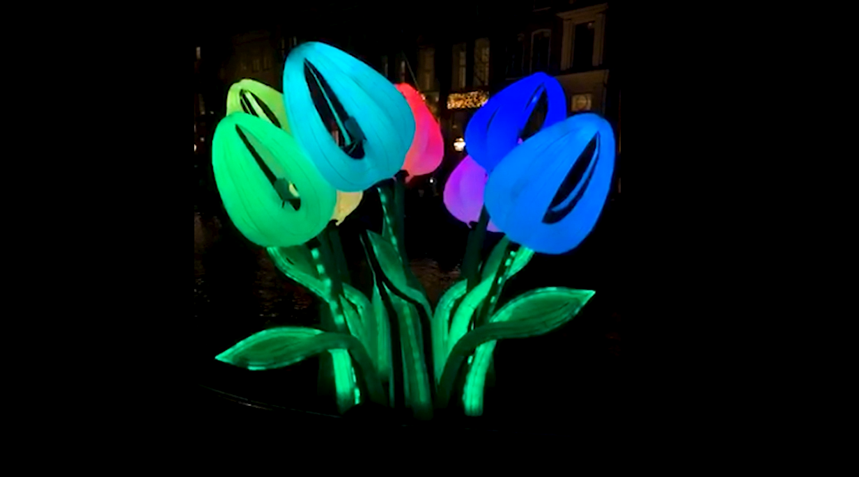 festivals winter Amsterdam Light Festival