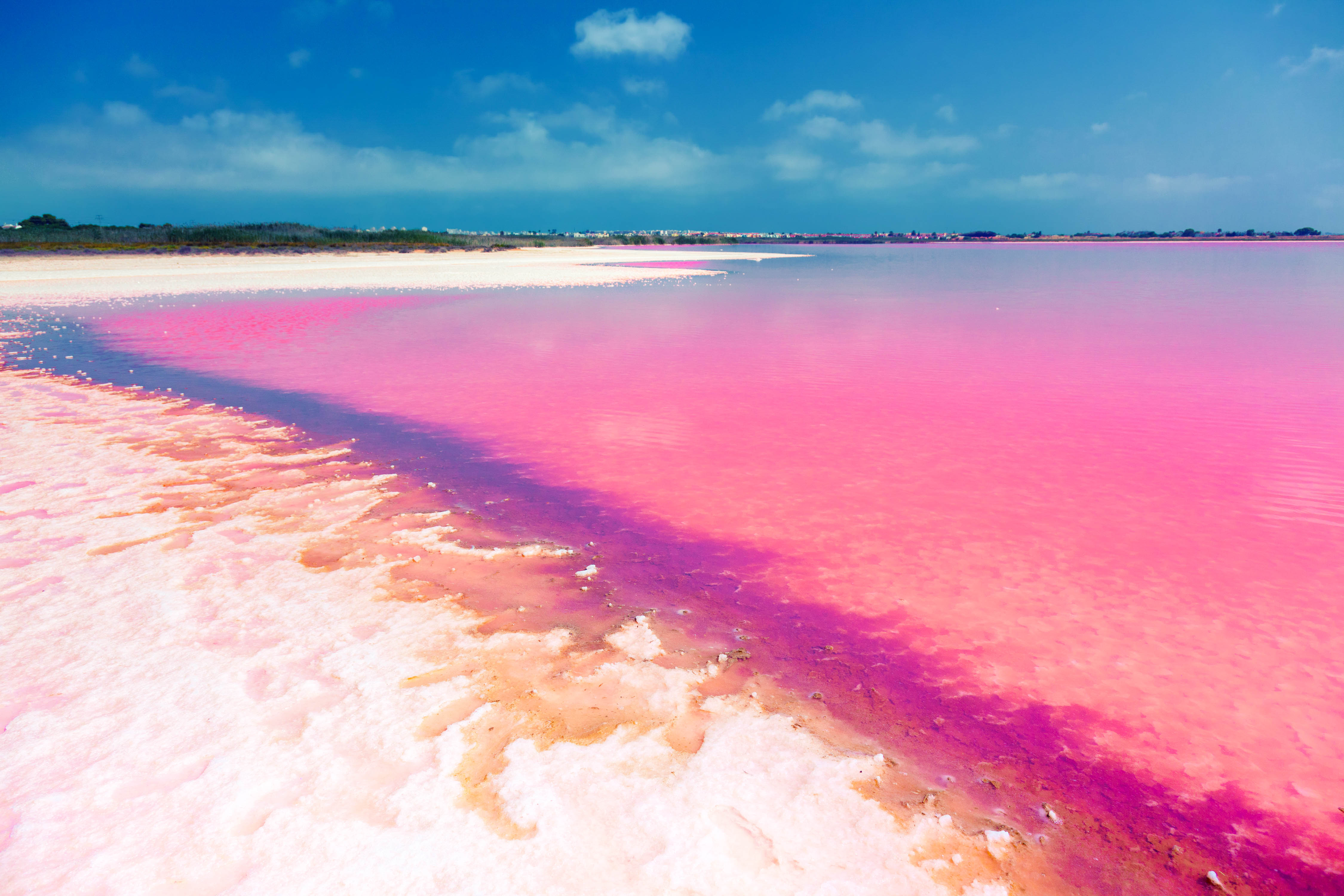 roze meren