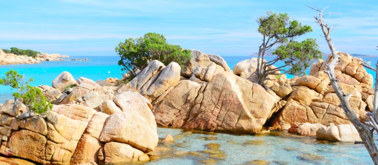 shutterstock_378032623-1200×335