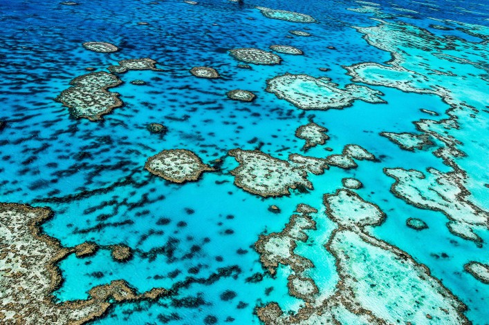 Great Barrier Reef dood