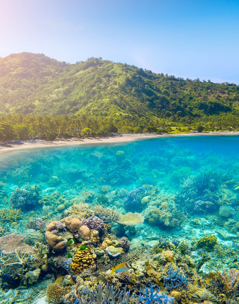Lombok