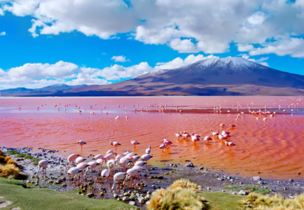 rondreis peru bolivia rondreis peru bolivia