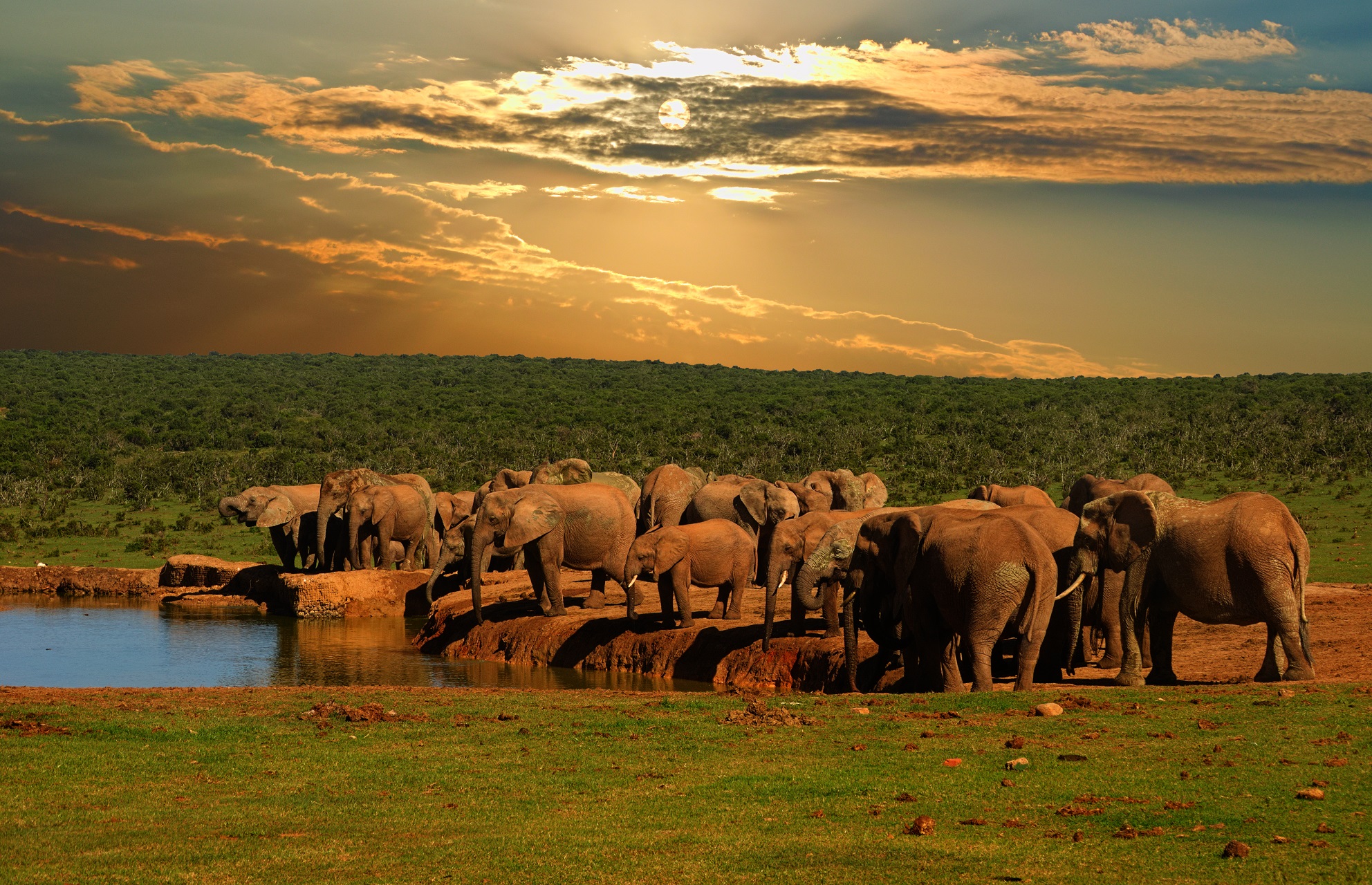 beste periode safari zuid afrika