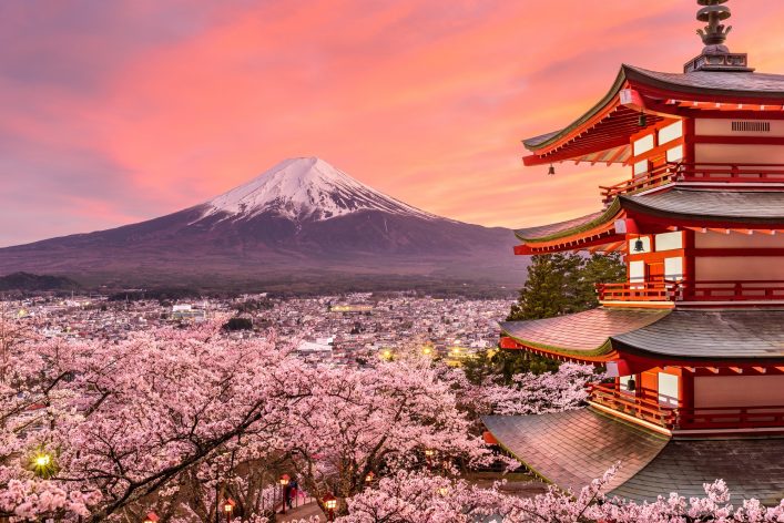 Вишневый цвет Япония