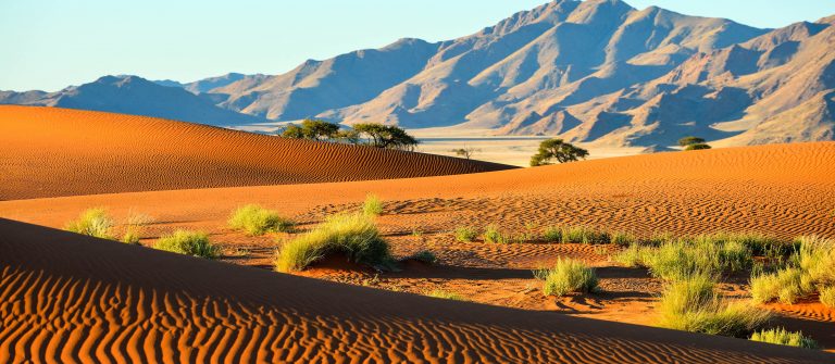 De reusachtige duinen in Namibie