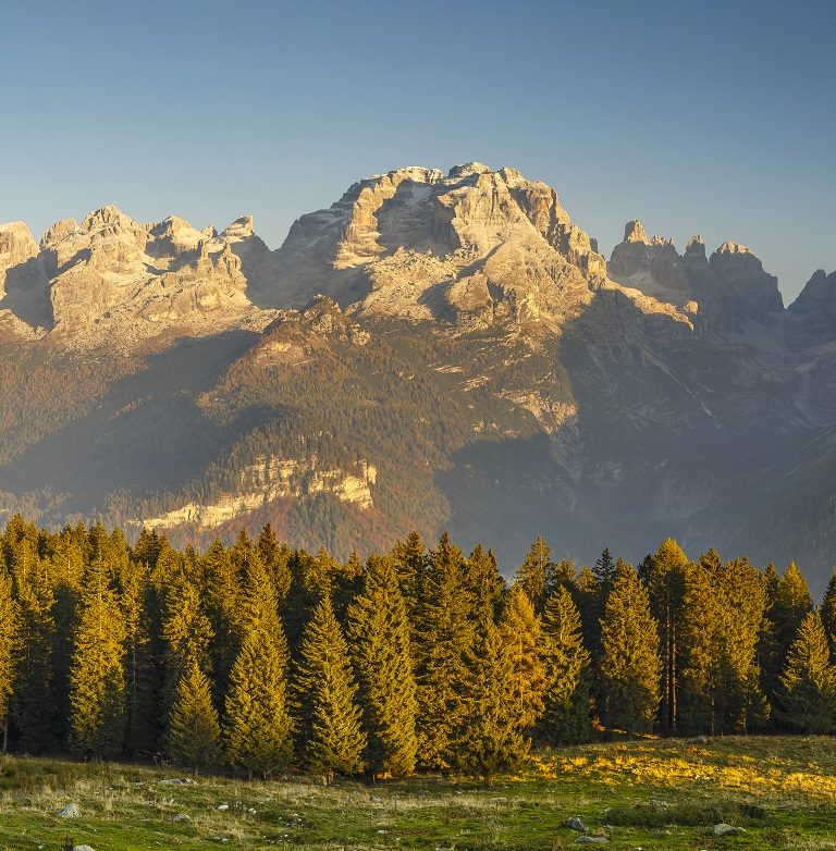 Trentino