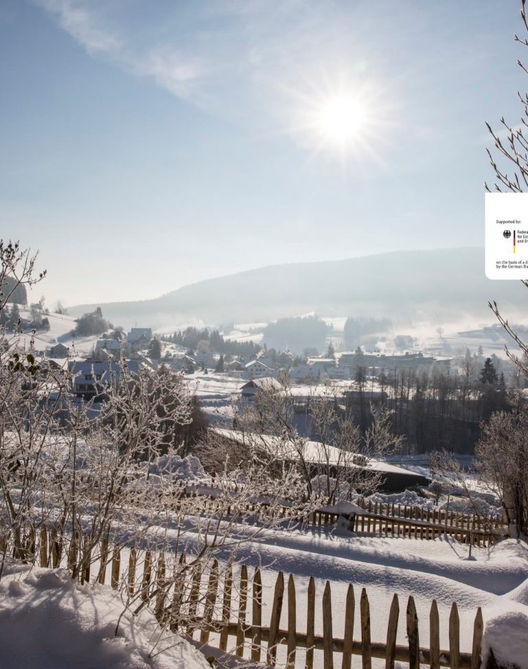 Winter Zwarte Woud