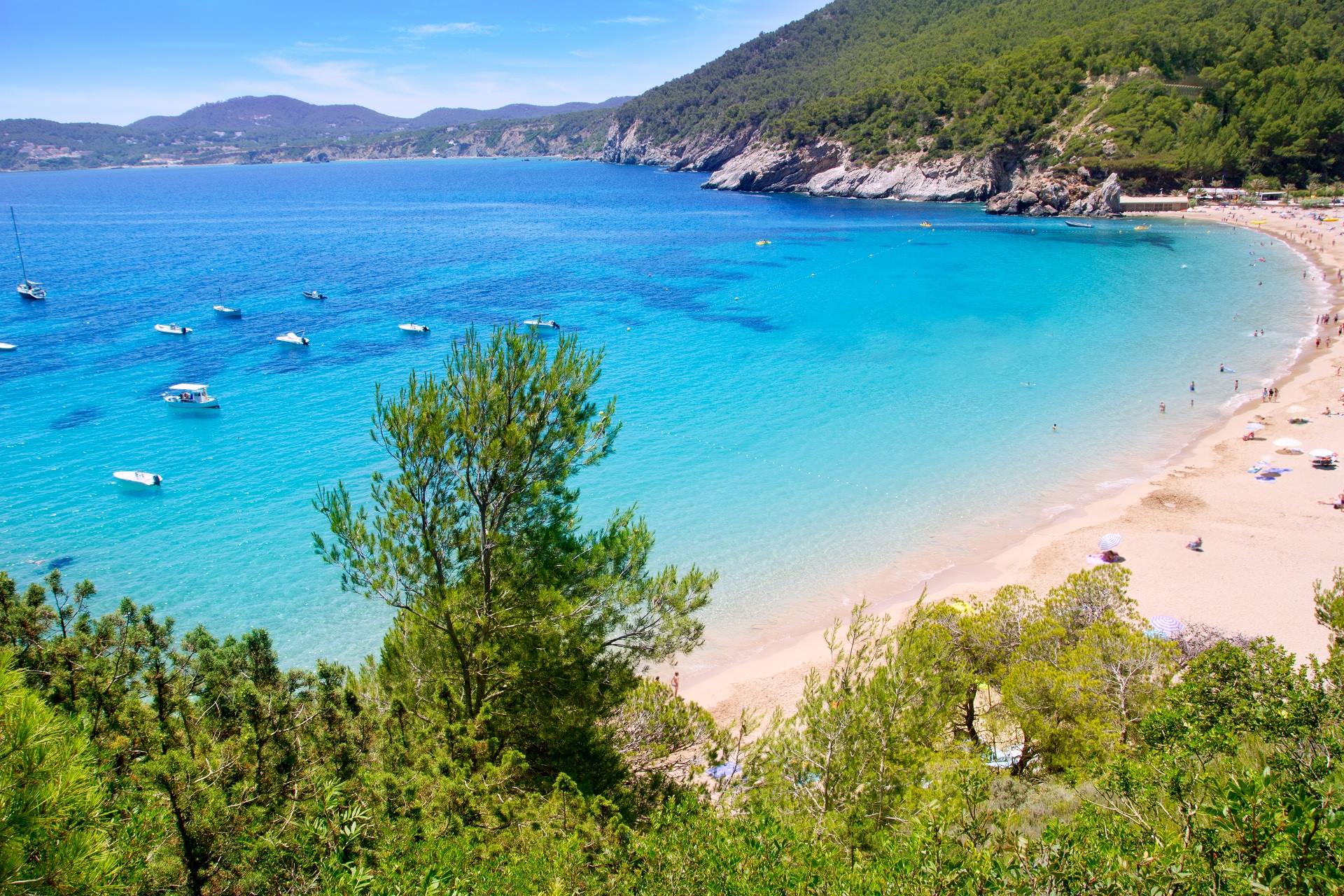 Ontslag Scully schieten Goedkope vakantie Ibiza 2022: de beste deals speciaal voor jou!
