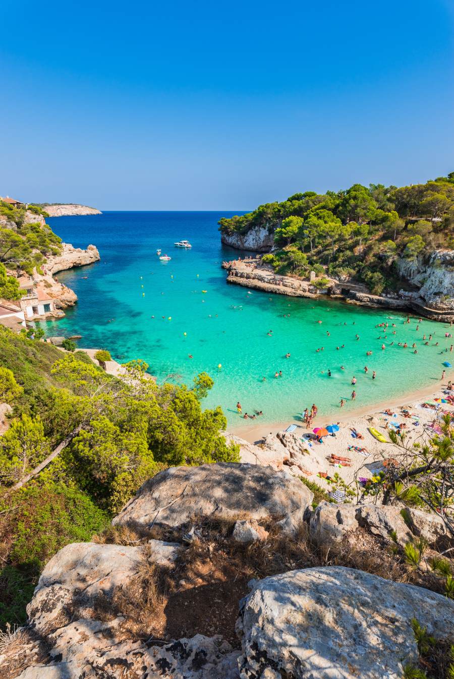 surfen Ik denk dat ik ziek ben kom Aanbiedingen voor de perfecte Mallorca vakantie | Holidayguru.nl
