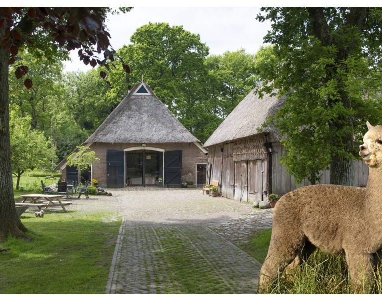 Natuurhuisje alpaca