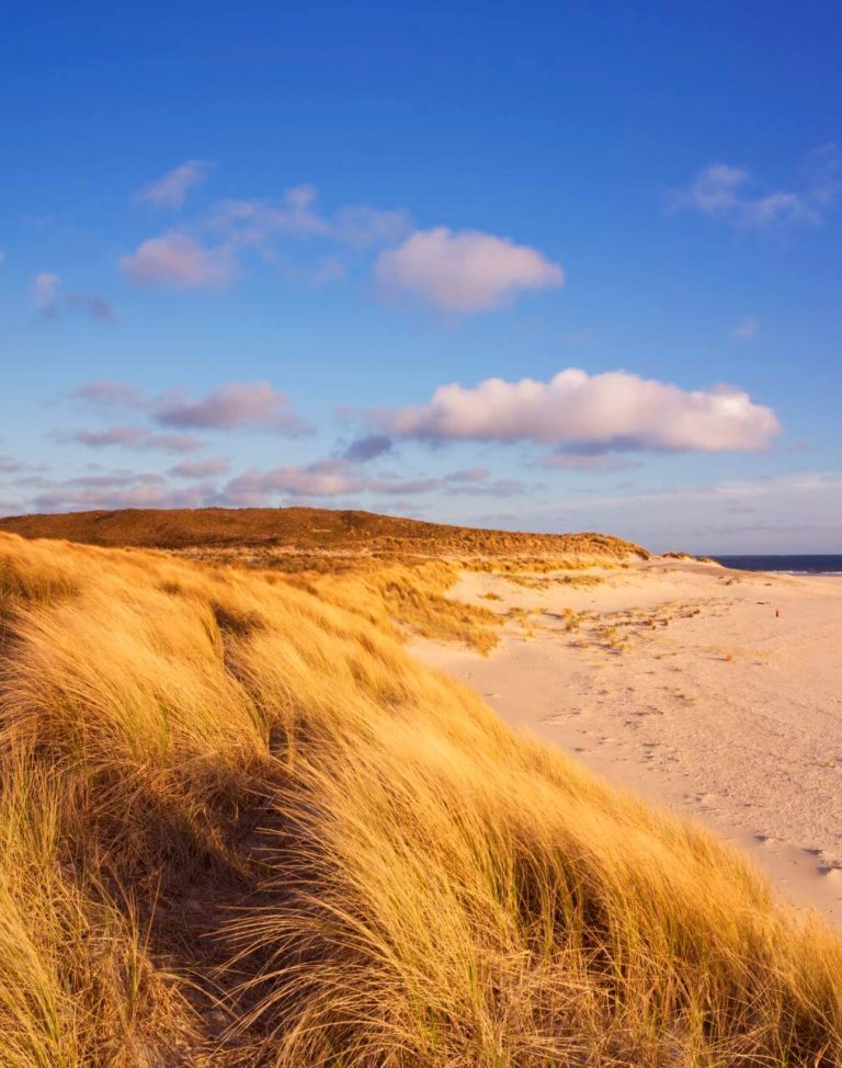 Vakantie op de Waddeneilanden