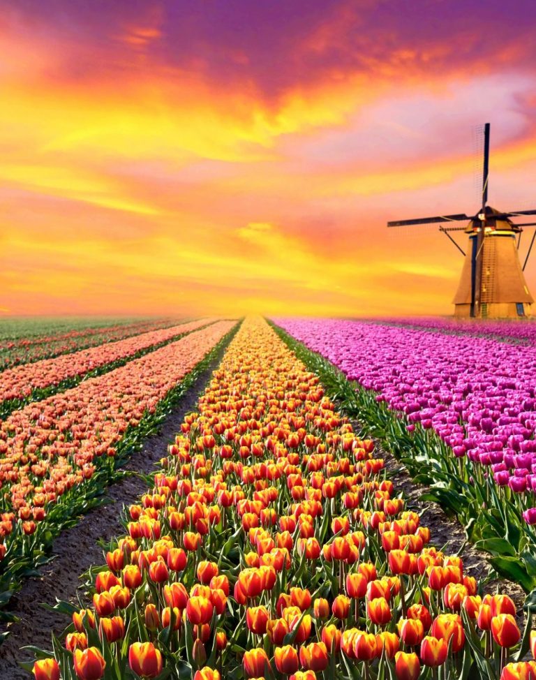 Mooiste plekken Nederland
