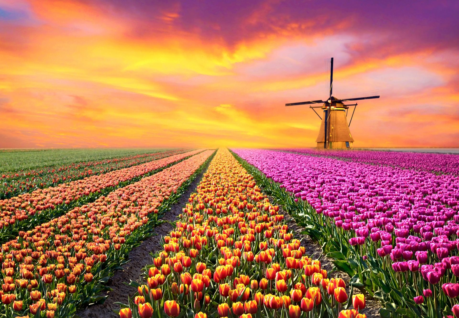 12x De mooiste plekken in Nederland 🥇 | Holidayguru.nl