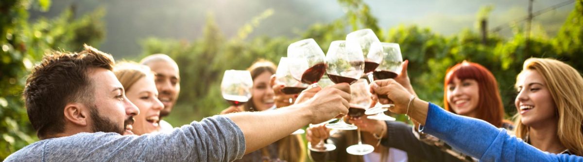 Vrienden drinken wijn in de wijngaard